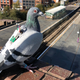 Estas palomas están recogiendo datos sobre el clima con sensores atados a sus espaldas.